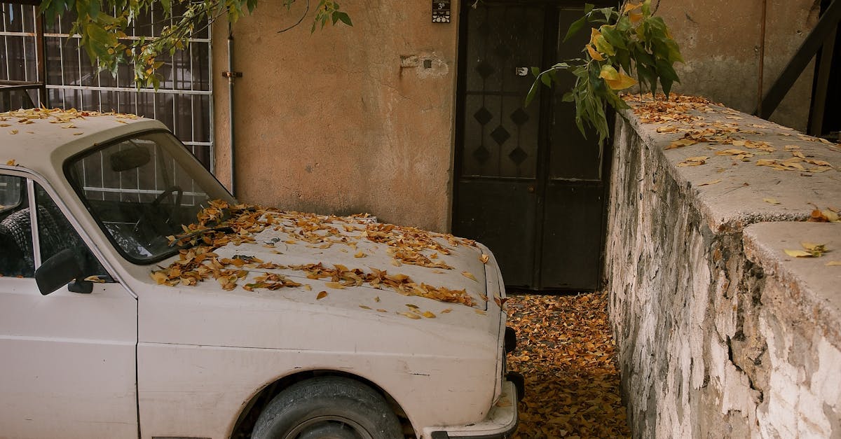 Garage Door Maintenance Reseda, CA